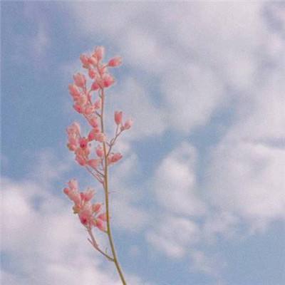 收益率首次低于2% 开年29只银行理财募集失利