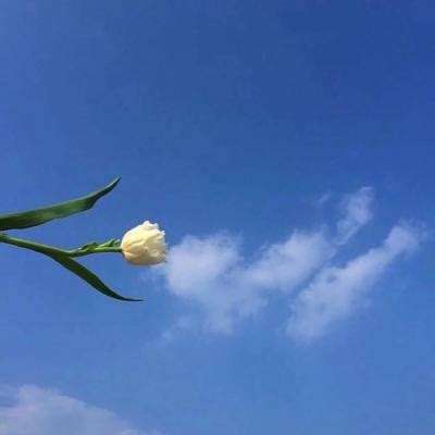 海南宣布设立海口江东新区 2龙头股有望最先受益
