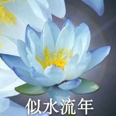 棋开棋牌app下载手机版安装正版最新版v4.6.3.2截图4