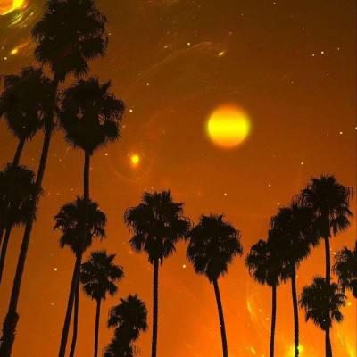 万搏manbext体育官网中文版