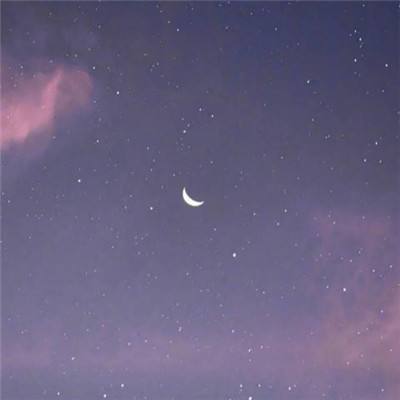 变异八爪鱼真正破解版
