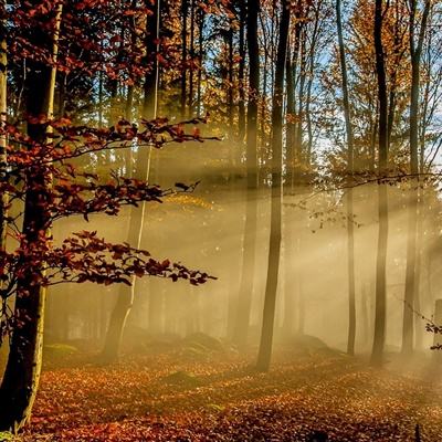 禁挂五星红旗？台当局这把“独火”眼看要烧向自己