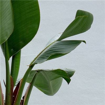 K0K体育娱乐下载app/手机app下载