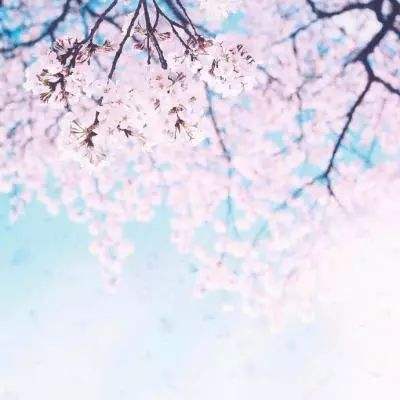 彩神8平台