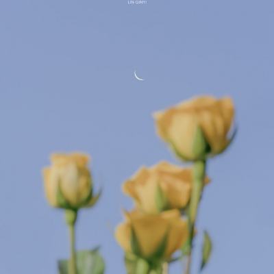 一波超人无限金币无限钻石版