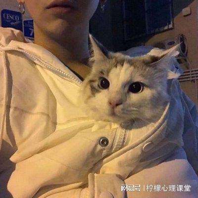 乐鱼体育官网地址查询相关推荐1