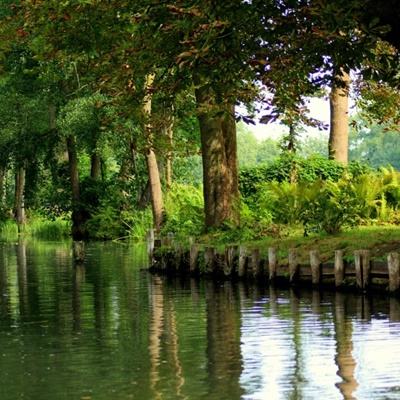 赴一场科技之约!第三届“天翼云...