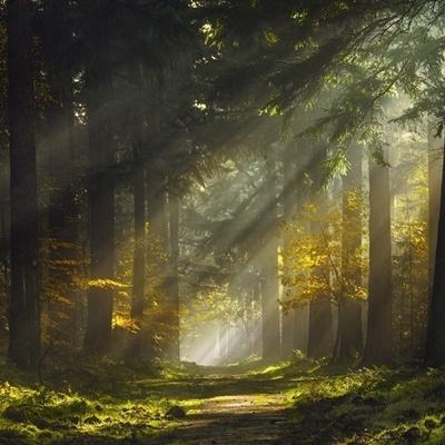 发生了什么？午后，沪指再度失守3900点