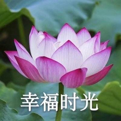 国防部提到一个铁的事实：日本侵略过所有周边国家