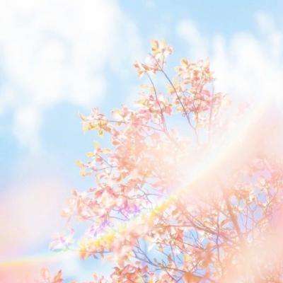 乐鱼体育app下载网址