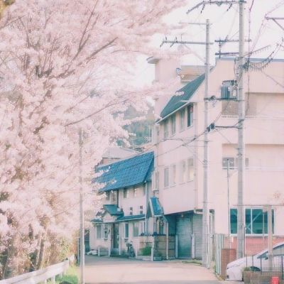 rmddpu