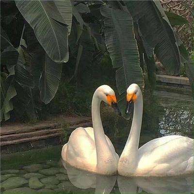 AI短剧冲击横店 第一批受害者出现了