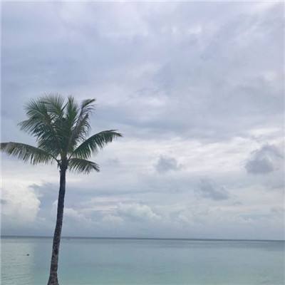 恐龙横冲直撞