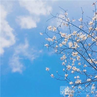 A股农商行首份年报出炉！重庆农商行2025年营收和净利润双增，资产总额达1.66万亿元