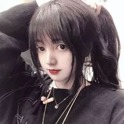 崔永元吸猫甘做“铲屎官” 如此回应“炮轰范冰冰”…