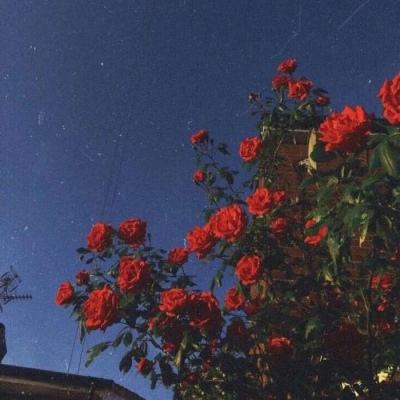 乐鱼娱乐平台/手机APP下载娱乐平台