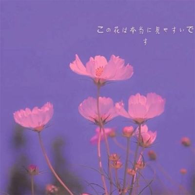 崔永元:5日约见税务部门面交材料