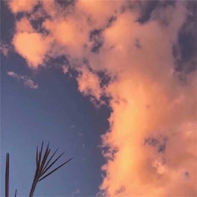 烈士母亲用一夜陪伴 圆此生最后之约