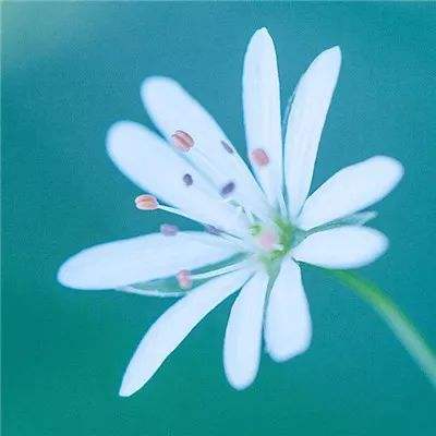线上真钱APP下载（综合）APP下载安装IOS
