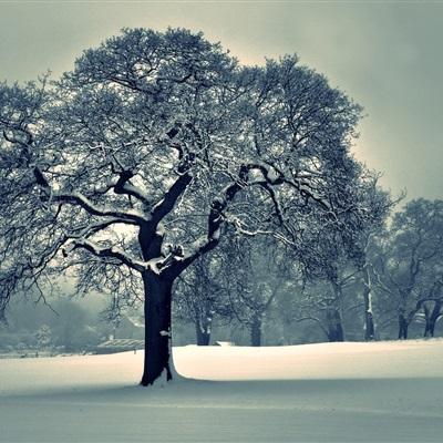 聚体育娱乐APP/手机APP下载截图1