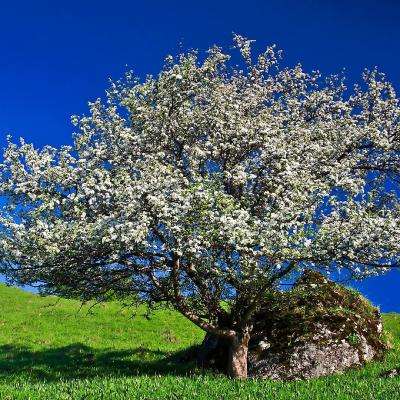 零碳目标下的生存法则：菲仕技术...