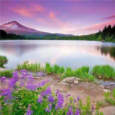 火柴人联盟破解版