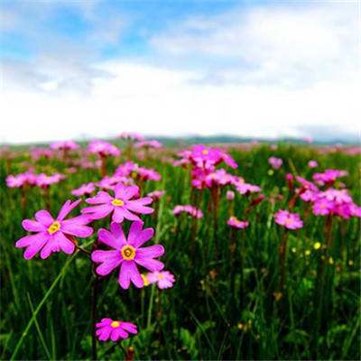 奥门新浦京误乐城1007.cm相关推荐1