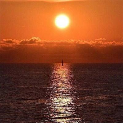 www333体育相关推荐1