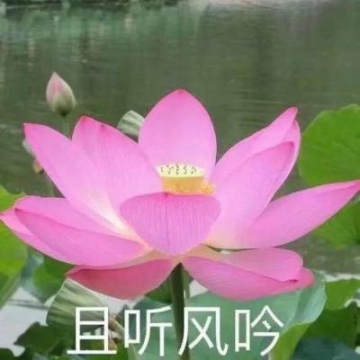 欧洲股市上涨 油价走高提振能源巨头股价