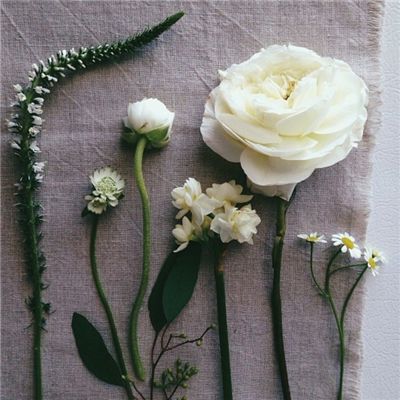 病娇模拟器扒衣