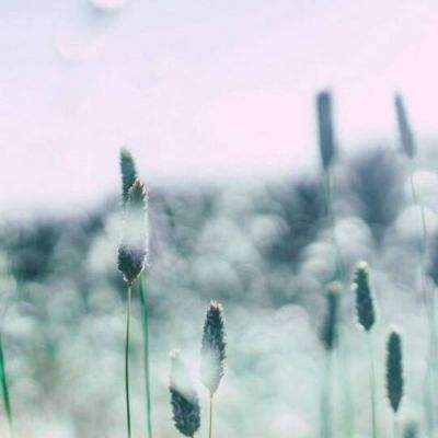 金博体育网页版