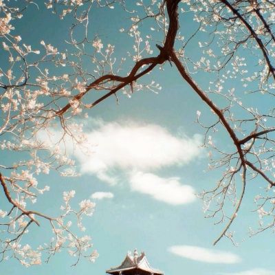亚马逊AWS前景看好推动股价上涨 花旗将其目标价上调至285美元