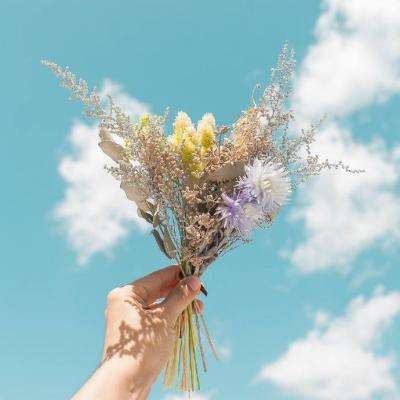 阿特斯股价连续5天下跌累计跌幅6.43%，汇添富基金旗下1只基金持200万股，浮亏损失198万元