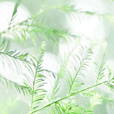 外交部:支持委内瑞拉维护自身主权、尊严和合法权利