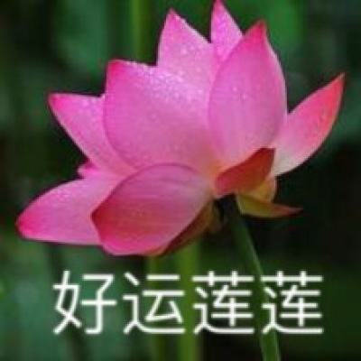 澳门金沙qv382223特色