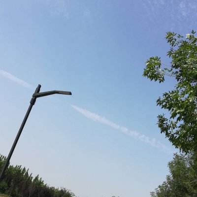 崔永元:\