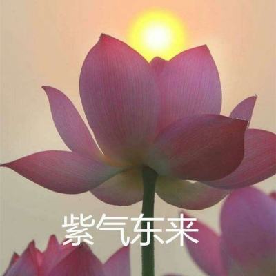 江南体育平台入口