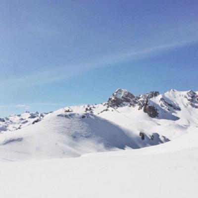 乐鱼体育安全吗截图