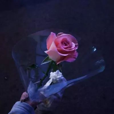 银河体育娱乐下载app/手机app下载