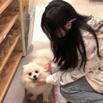 “对雄安的发展前景,我们充满信心”